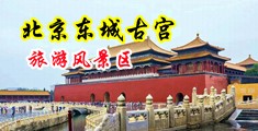 欧美淫逼插操插逼中国北京-东城古宫旅游风景区